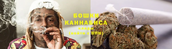 шишки Алзамай