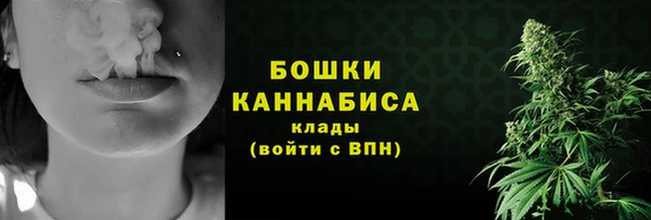 шишки Алзамай