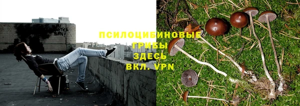 шишки Алзамай