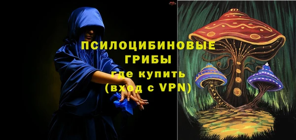 шишки Алзамай