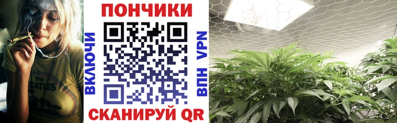 Купить  Пойковский  Бошки марихуана THC 21% 